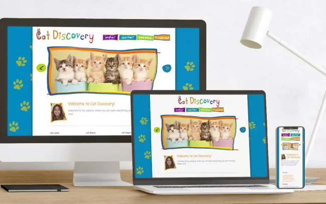 Cat Discovery Website