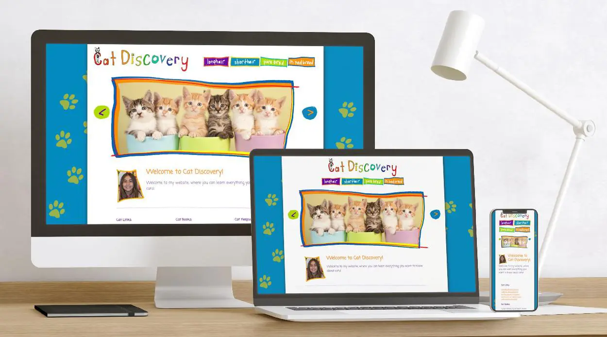 Cat Discovery Website